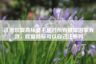 注册欧盟商标是不是对所有欧盟国家有效,欧盟商标可以自己注册吗 注册欧盟商标是不是对所有欧盟国家有效,欧盟商标可以自己注册吗