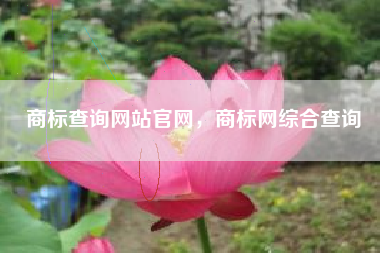 商标查询网站官网,商标网综合查询 商标查询网站官网,商标网综合查询