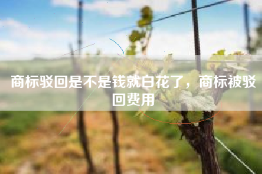 商标驳回是不是钱就白花了,商标被驳回费用 商标驳回是不是钱就白花了,商标被驳回费用