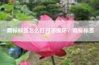 商标标签怎么打开不损坏,商标标签 商标标签怎么打开不损坏,商标标签