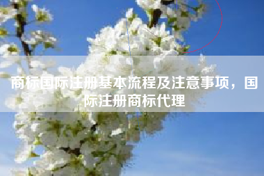 商标国际注册基本流程及注意事项,国际注册商标代理 商标国际注册基本流程及注意事项,国际注册商标代理