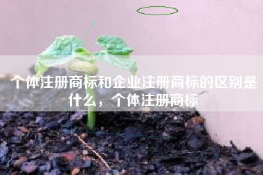 个体注册商标和企业注册商标的区别是什么,个体注册商标 个体注册商标和企业注册商标的区别是什么,个体注册商标