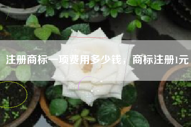 注册商标一项费用多少钱,商标注册1元 注册商标一项费用多少钱,商标注册1元