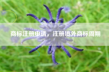 商标注册申请,注册境外商标周期 商标注册申请,注册境外商标周期