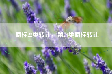 商标22类转让,第24类商标转让 商标22类转让,第24类商标转让