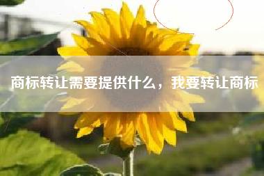 商标转让需要提供什么,我要转让商标 商标转让需要提供什么,我要转让商标