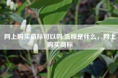 网上购买商标可以吗,流程是什么,网上购买商标 网上购买商标可以吗,流程是什么,网上购买商标