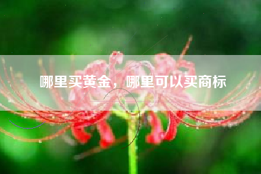 哪里买黄金,哪里可以买商标 哪里买黄金,哪里可以买商标