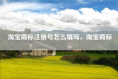 淘宝商标注册号怎么填写,淘宝商标 淘宝商标注册号怎么填写,淘宝商标