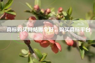 商标购买网站哪个好,购买商标平台 商标购买网站哪个好,购买商标平台