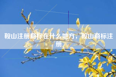 鞍山注册商标在什么地方,鞍山商标注册 鞍山注册商标在什么地方,鞍山商标注册