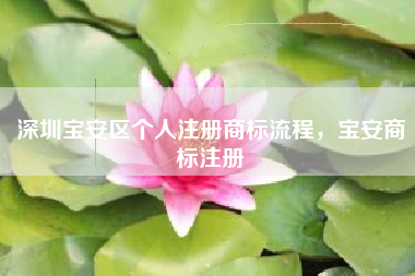 深圳宝安区个人注册商标流程,宝安商标注册 深圳宝安区个人注册商标流程,宝安商标注册