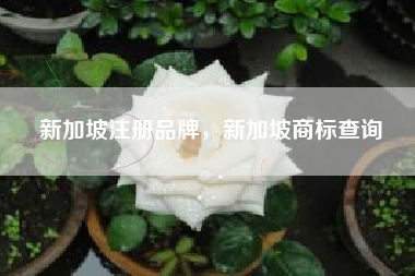 新加坡注册品牌,新加坡商标查询 新加坡注册品牌,新加坡商标查询