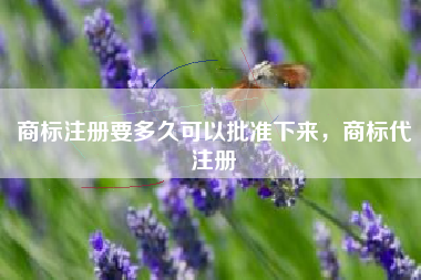 商标注册要多久可以批准下来,商标代注册 商标注册要多久可以批准下来,商标代注册