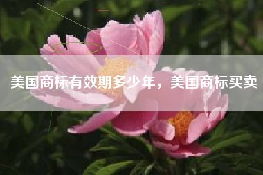 美国商标有效期多少年,美国商标买卖 美国商标有效期多少年,美国商标买卖