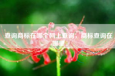 查询商标在哪个网上查询，商标查询在哪里