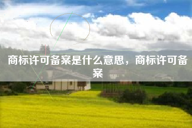 商标许可备案是什么意思,商标许可备案 商标许可备案是什么意思,商标许可备案