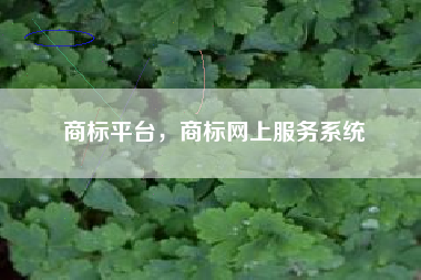 商标平台，商标网上服务系统