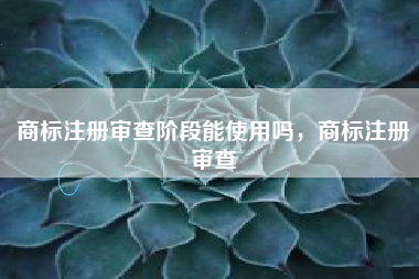 商标注册审查阶段能使用吗,商标注册审查 商标注册审查阶段能使用吗,商标注册审查