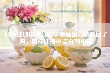 商标注册申请分割申请是因为被驳回了吗,商标注册申请分割申请 商标注册申请分割申请是因为被驳回了吗,商标注册申请分割申请