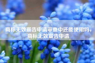 商标无效宣告申请审查中还能使用吗,商标无效宣告申请 商标无效宣告申请审查中还能使用吗,商标无效宣告申请