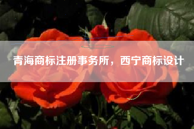 青海商标注册事务所,西宁商标设计 青海商标注册事务所,西宁商标设计