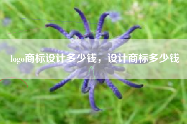 logo商标设计多少钱,设计商标多少钱 logo商标设计多少钱,设计商标多少钱