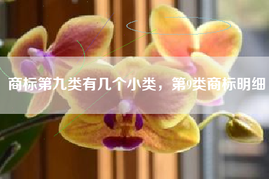 商标第九类有几个小类,第9类商标明细 商标第九类有几个小类,第9类商标明细