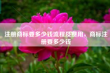 注册商标要多少钱流程及费用,商标注册要多少钱 注册商标要多少钱流程及费用,商标注册要多少钱