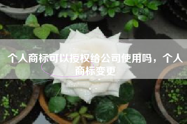 个人商标可以授权给公司使用吗,个人商标变更 个人商标可以授权给公司使用吗,个人商标变更