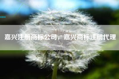 嘉兴注册商标公司,嘉兴商标注册代理 嘉兴注册商标公司,嘉兴商标注册代理