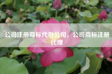 公司注册商标代办公司,公司商标注册代理 公司注册商标代办公司,公司商标注册代理