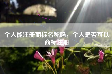 个人能注册商标名称吗,个人是否可以商标注册 个人能注册商标名称吗,个人是否可以商标注册