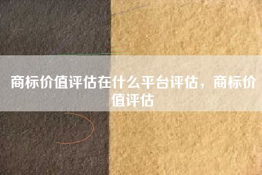商标价值评估在什么平台评估,商标价值评估 商标价值评估在什么平台评估,商标价值评估