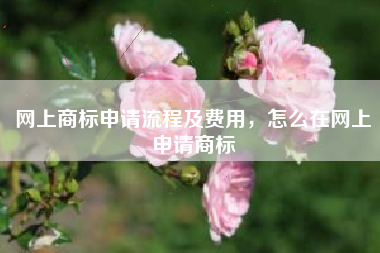 网上商标申请流程及费用,怎么在网上申请商标 网上商标申请流程及费用,怎么在网上申请商标