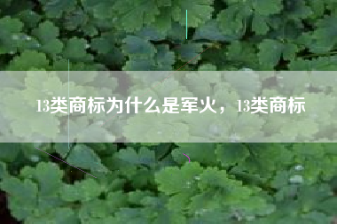 13类商标为什么是军火,13类商标 13类商标为什么是军火,13类商标