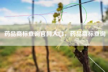 药品商标查询官网入口,药品商标查询 药品商标查询官网入口,药品商标查询