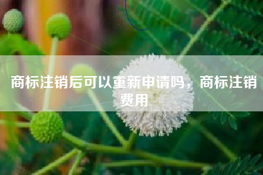 商标注销后可以重新申请吗,商标注销费用 商标注销后可以重新申请吗,商标注销费用