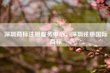 深圳商标注册服务中心,深圳注册国际商标 深圳商标注册服务中心,深圳注册国际商标