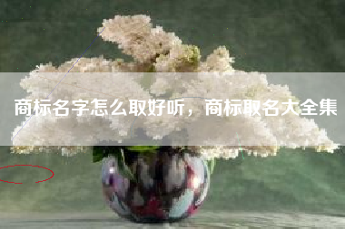 商标名字怎么取好听,商标取名大全集 商标名字怎么取好听,商标取名大全集