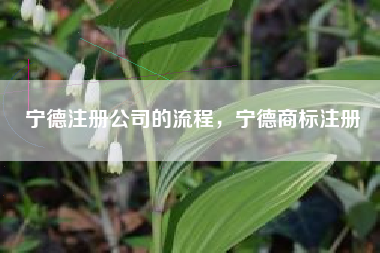 宁德注册公司的流程，宁德商标注册