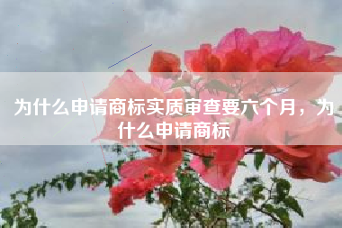 为什么申请商标实质审查要六个月,为什么申请商标 为什么申请商标实质审查要六个月,为什么申请商标