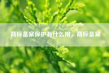 商标备案保护有什么用,商标备案 商标备案保护有什么用,商标备案