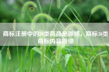 商标注册中的30类商品是哪些,商标30类商标内容明细 商标注册中的30类商品是哪些,商标30类商标内容明细