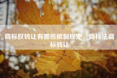 商标权转让有哪些限制规定,商标法商标转让 商标权转让有哪些限制规定,商标法商标转让