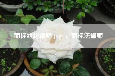 商标纠纷律师 jsbfsj,商标法律师 商标纠纷律师 jsbfsj,商标法律师