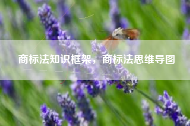 商标法知识框架,商标法思维导图 商标法知识框架,商标法思维导图