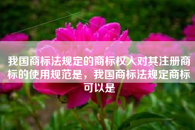 我国商标法规定的商标权人对其注册商标的使用规范是,我国商标法规定商标可以是 我国商标法规定的商标权人对其注册商标的使用规范是,我国商标法规定商标可以是