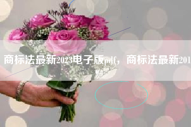 商标法最新2023电子版pdf,商标法最新2019 商标法最新2023电子版pdf,商标法最新2019