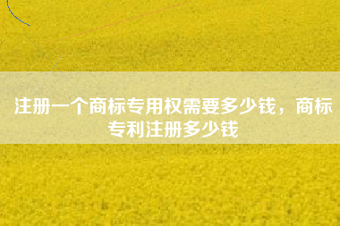 注册一个商标专用权需要多少钱,商标专利注册多少钱 注册一个商标专用权需要多少钱,商标专利注册多少钱